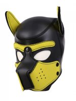 Neopren SET PUPPY Hoods - HALSBAND + BIZEPS - SCHWARZ/GELB