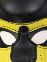 Neopren SET PUPPY Hoods - HALSBAND + BIZEPS - SCHWARZ/GELB