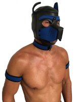 Neopren SET PUPPY Hoods - HALSBAND + BIZEPS - SCHWARZ/BLAU