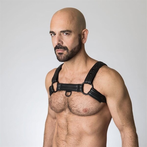 665 Neoprene Bulldog Harness