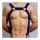 BDSMaster Neoprenharness Neo Chest Schwarz-Blau