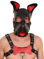 The RED PUPPY LEDER KNOCHEN ROT