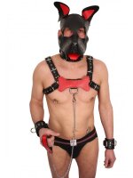 The RED PUPPY LEDER KNOCHEN ROT